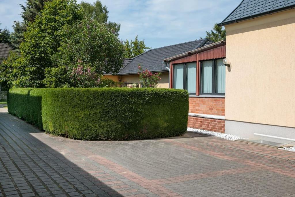 פוטסדאם Charmantes Townhaus Mit Garten, W-Lan & Netflix מראה חיצוני תמונה